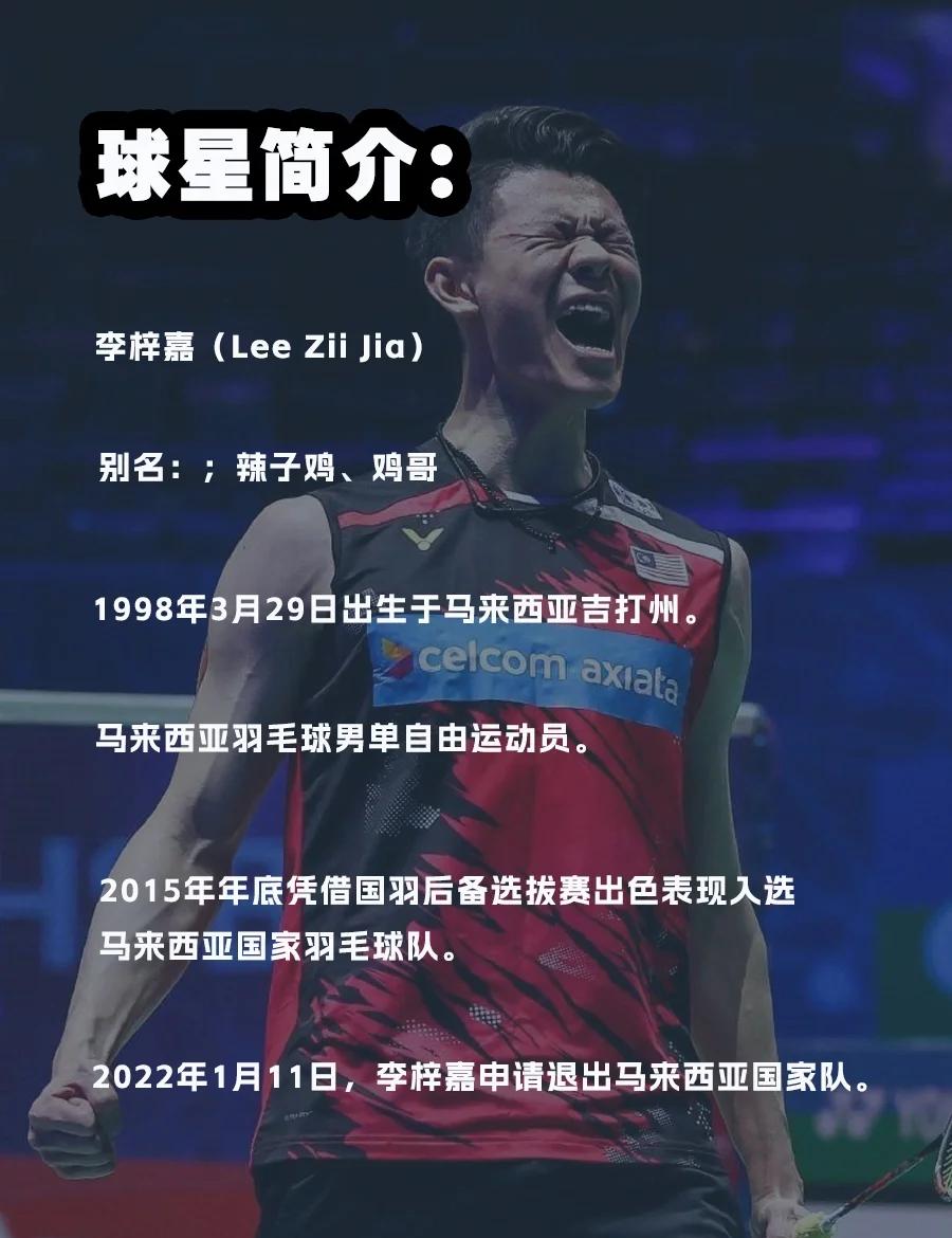 开云APP-马来西亚队轻取丹麦队，李梓嘉刷新纪录  第1张