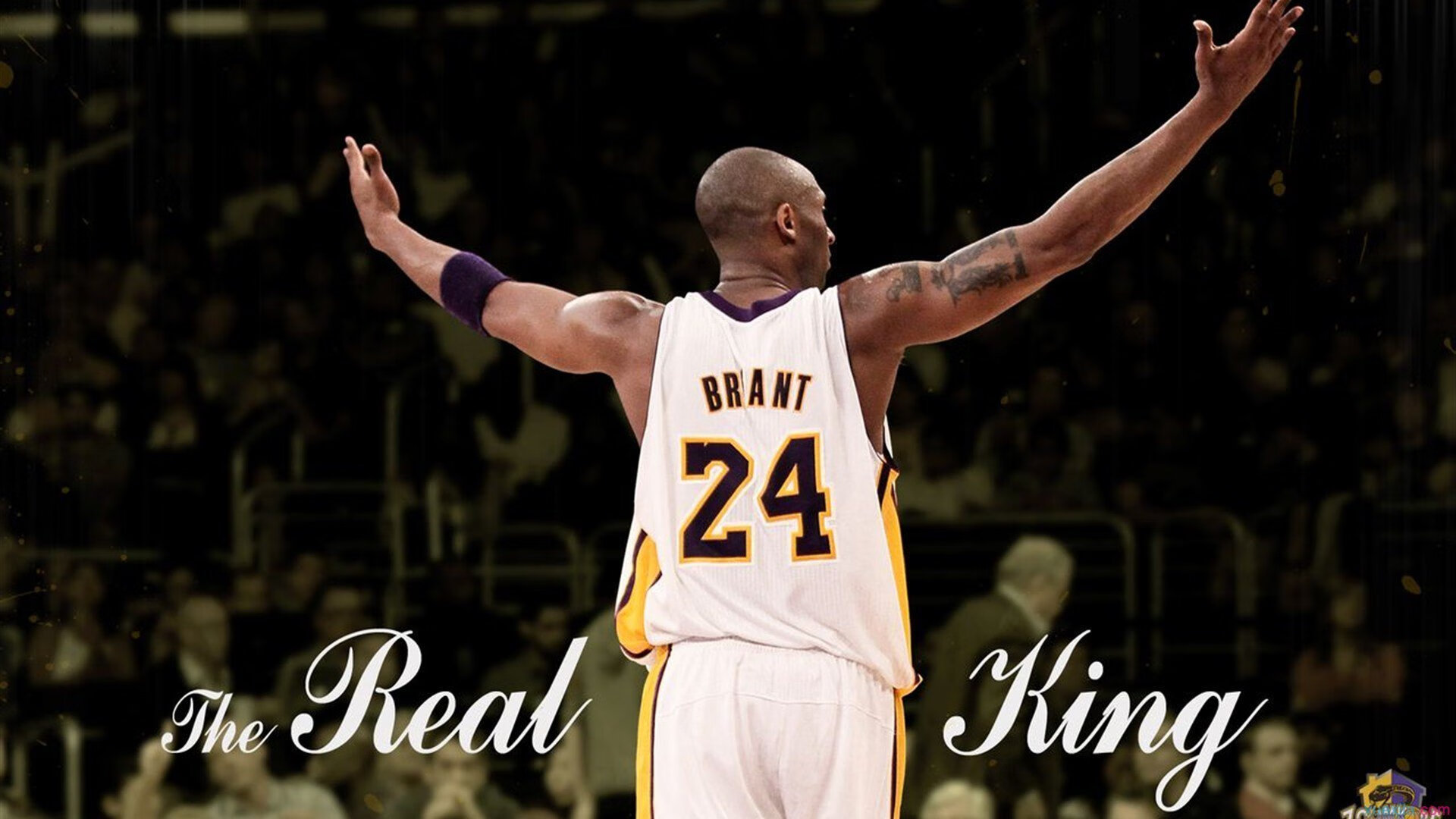 开云体育登录-东契奇节奏，F1争冠之夜的另一种速度美学  第2张